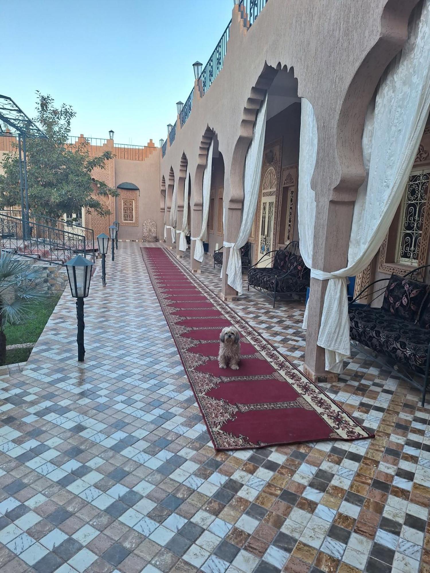 Eden Suite Marrakesh Exterior foto